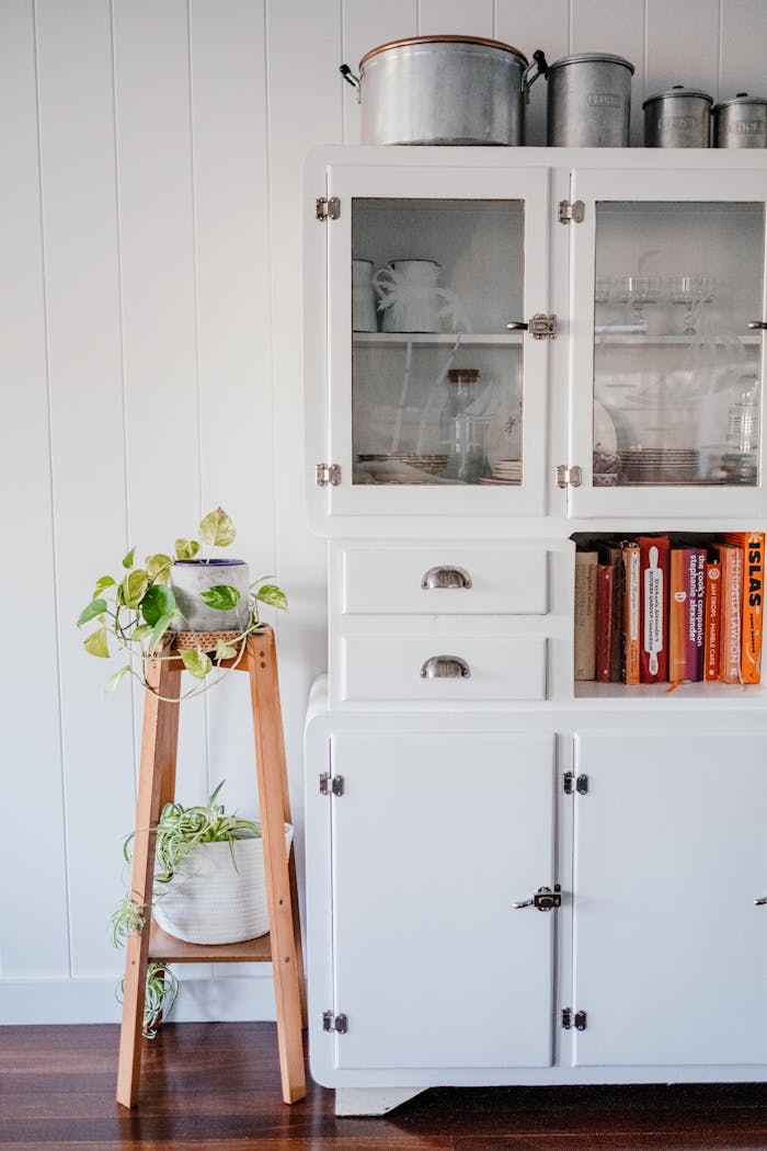 Elegant kitchen interior featuring white cabinets, a potted plant, and books for a modern home touch.